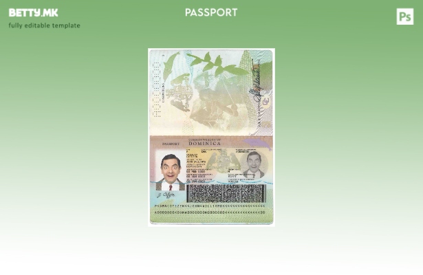 Шаблон за пасош на Доминика во модерен стил